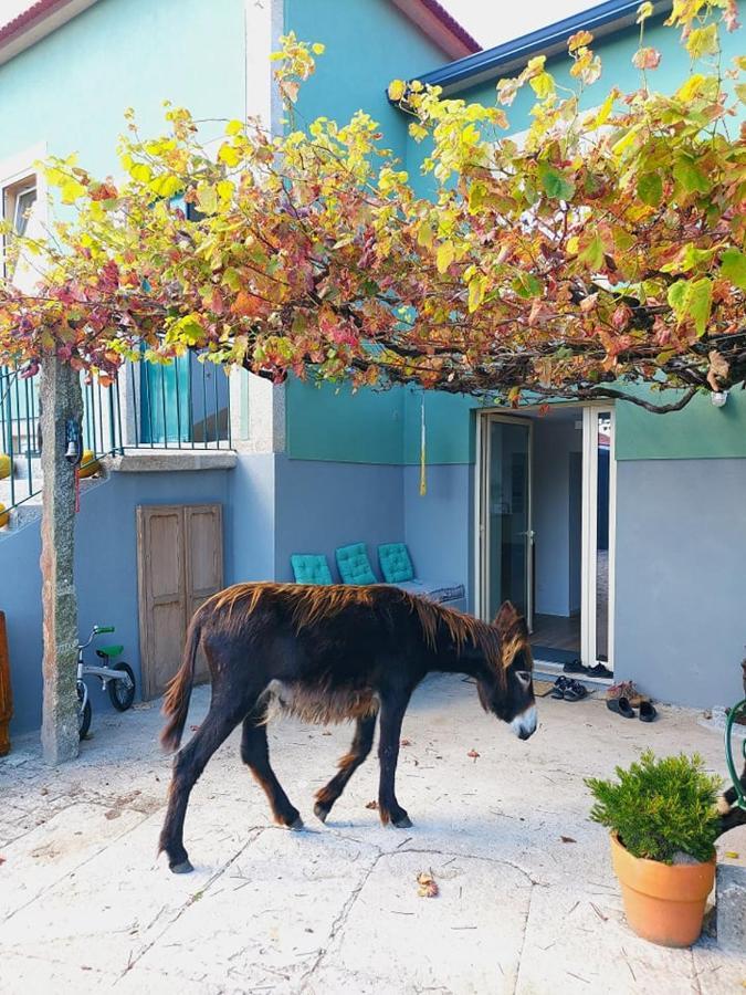 Quinta Da Quinhas Villa Vila Praia de Âncora Екстериор снимка