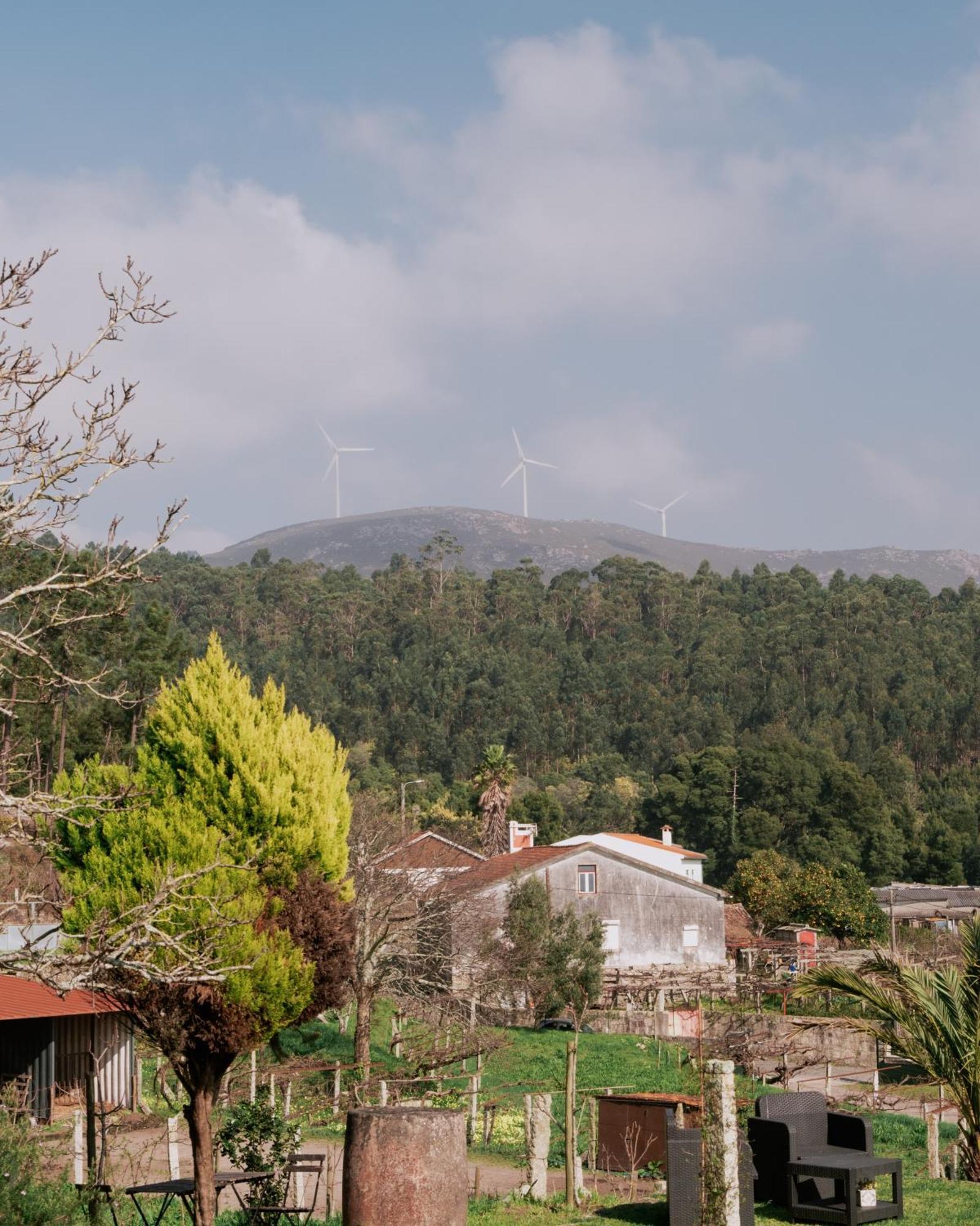 Quinta Da Quinhas Villa Vila Praia de Âncora Екстериор снимка