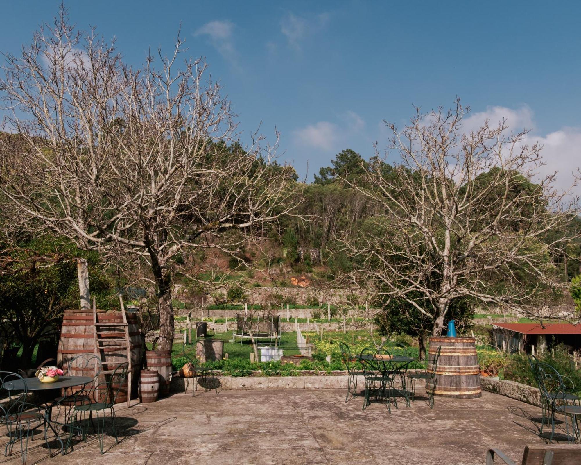 Quinta Da Quinhas Villa Vila Praia de Âncora Екстериор снимка